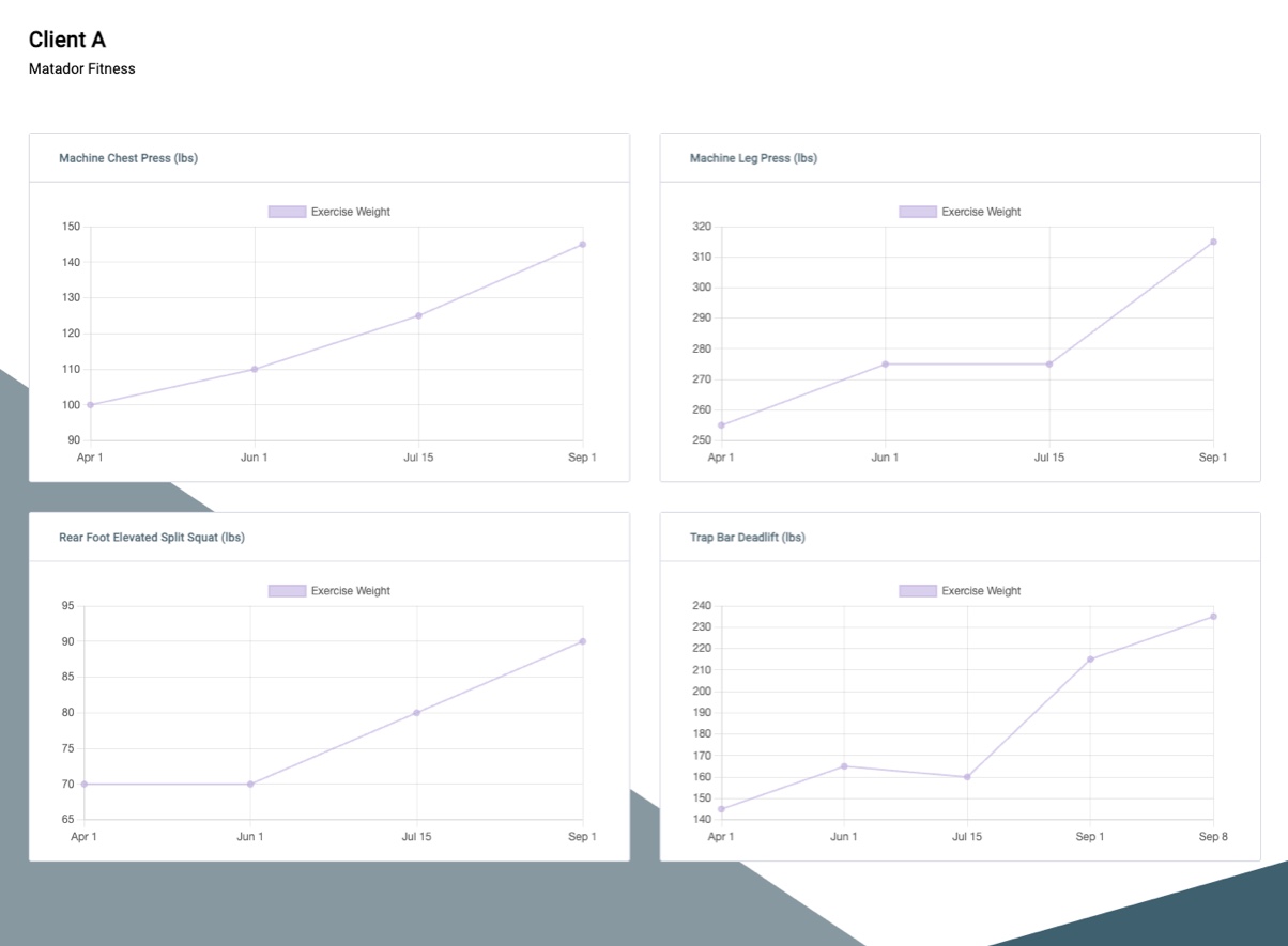 Screenshot of StrengthPortal's Custom Reports on a desktop